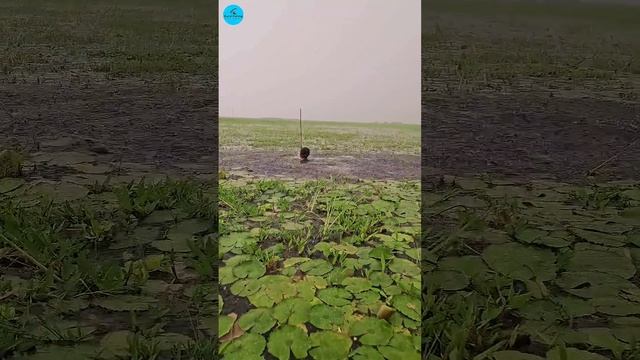 Лучшая рыбалка с лодки