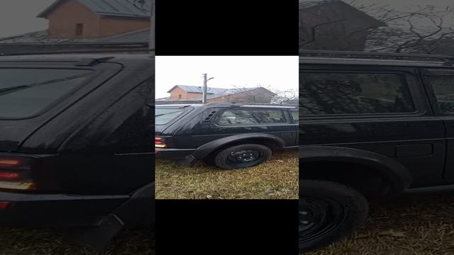 1000029537.mp4