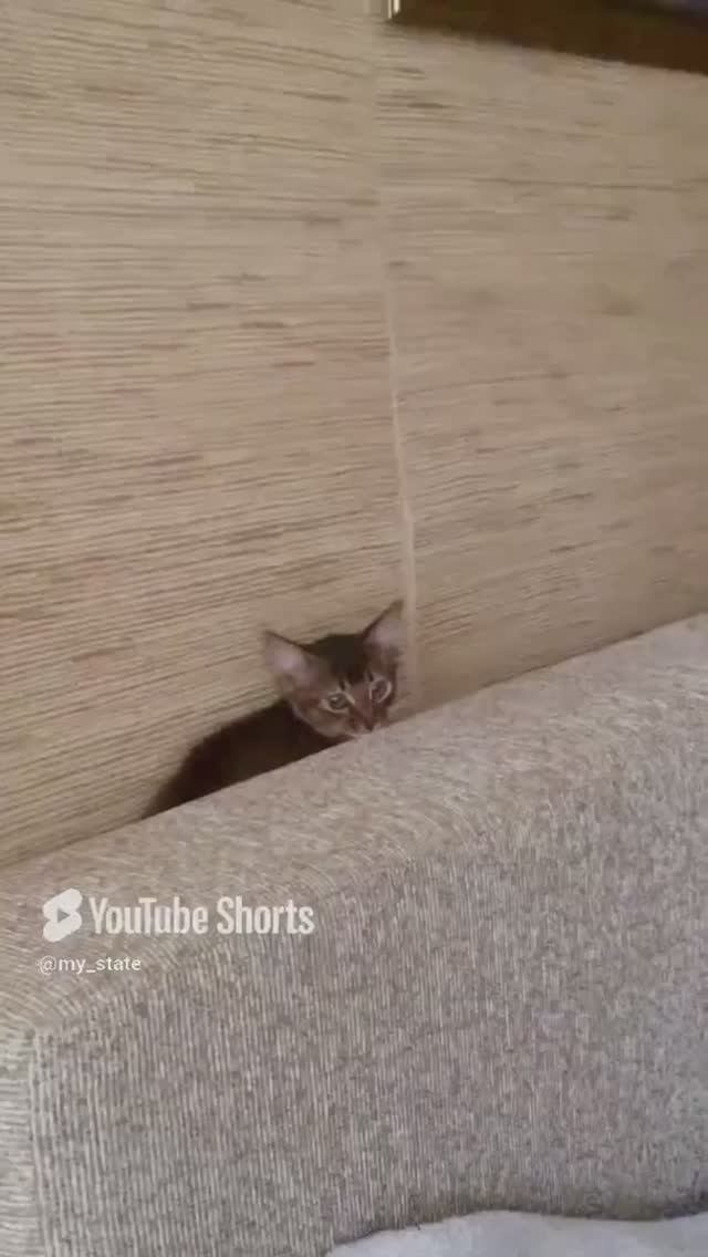 Быстрей за субботние дела....