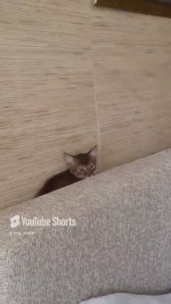 Быстрей за субботние дела....