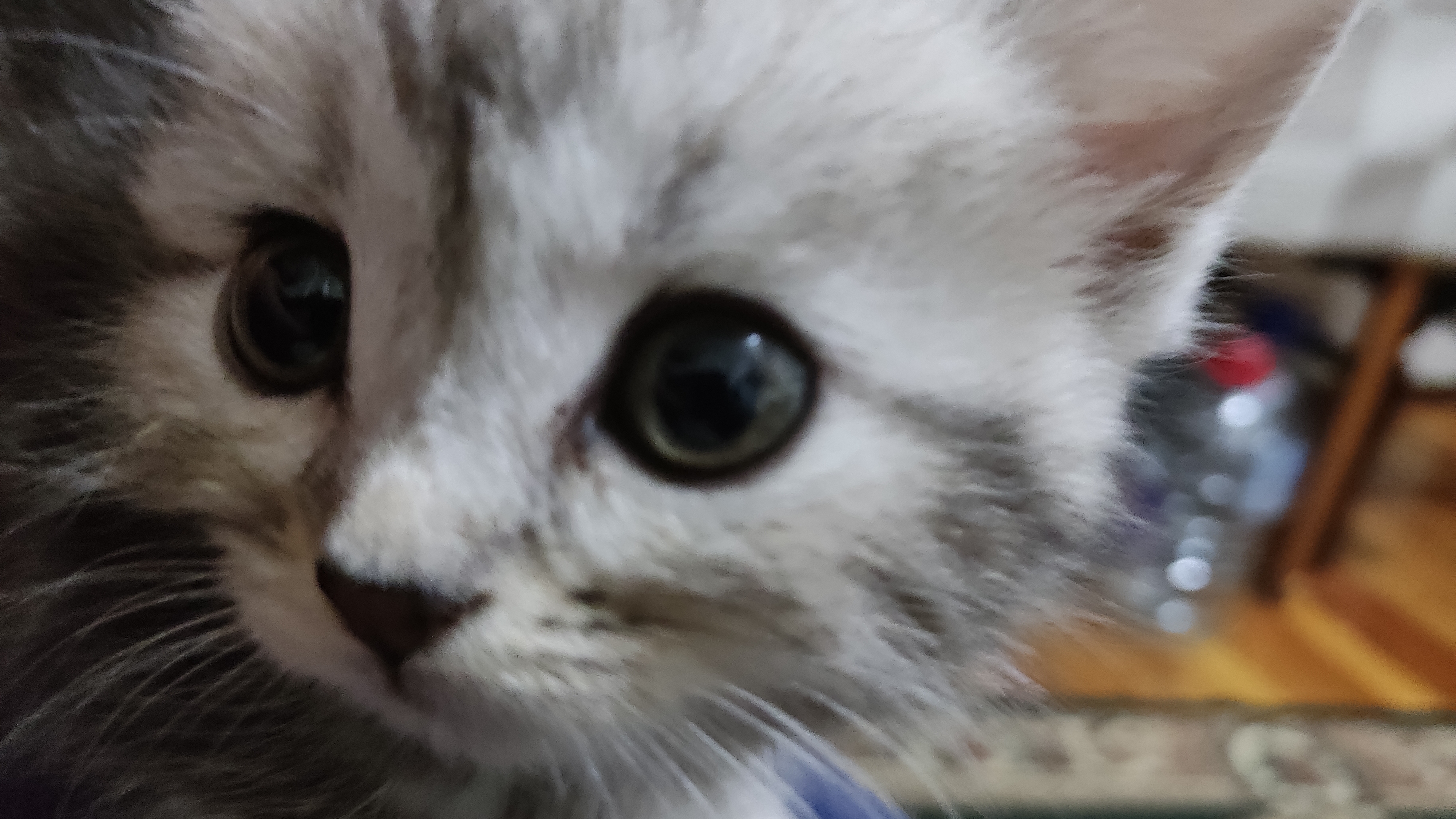 Уродец и Бамбылы