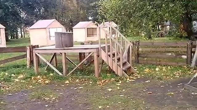 1000011095.mp4