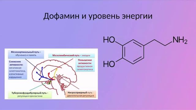 "Жизненные силы и энергия." Конференция Микро-Лэнар 16.03.2024