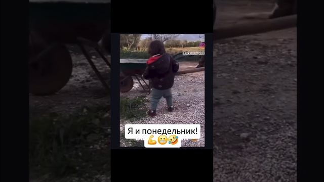 я и понедельник