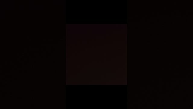 1000008126.mp4