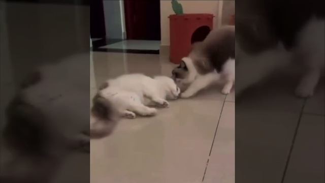 Коротко о моём желании идти на работу: