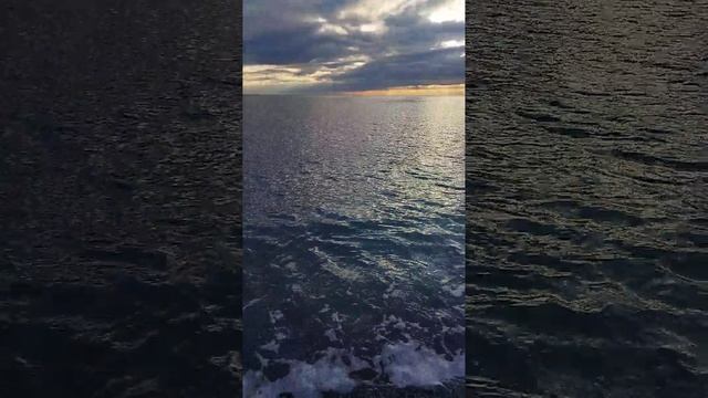 ДЖУБГА Молчанова пляж 16.11.2024