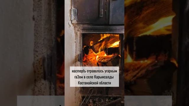 Трагедия: пoгuблu трое внykoв и их дедушка