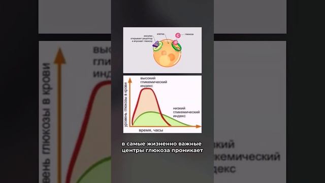 Биохимические процессы, которые влияют на набор веса. Подробности в комментариях #микролэнар