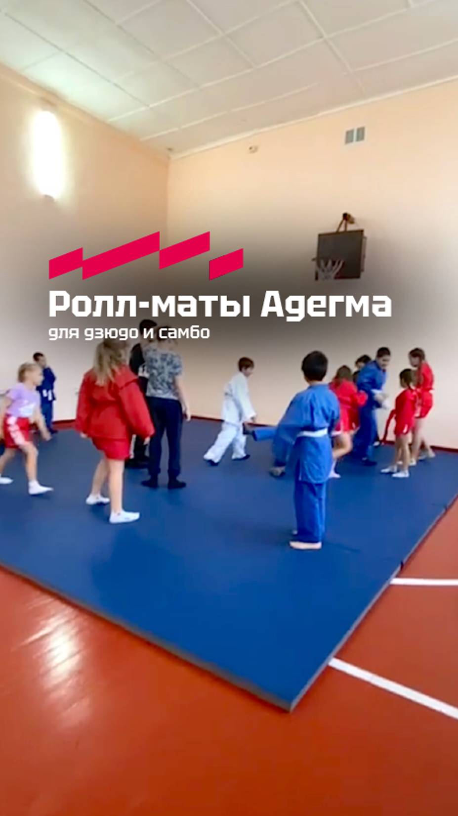 Ролл-маты Адегма для дзюдо и самбо