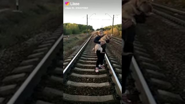 Девочка бросила собаку на рельсы