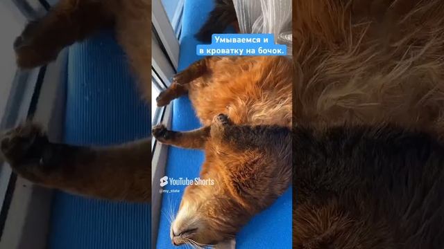 Спокойной ночи