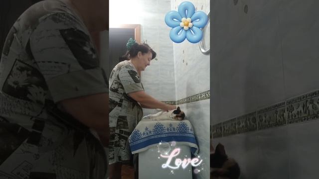 Россия.Сибирь. Ангарск. 18.11.2024г. 🥰🥰🥰 Они для нас СТРАНИЦА В ЖИЗНИ, а мы для них ВСЯ ЖИЗНЬ!