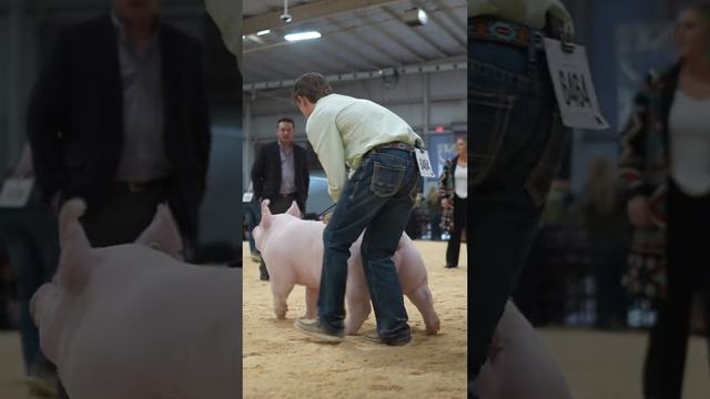 2024-11-18-194816637