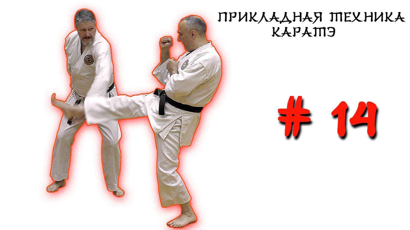 Прикладная техника каратэ. Выпуск № 14