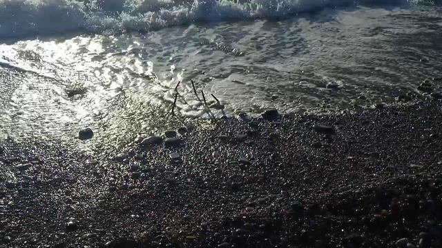 lv_0_20241118161723.mp4
Гуляем , Лазаревское