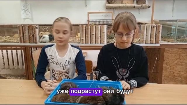 На нашей станции мы рады сообщить о новом пополнении — кроликов