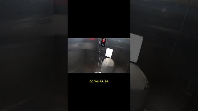 КОЗНИ ИСКУССТВЕННОГО ИНТЕЛЛЕКТА 1000035798.mp4