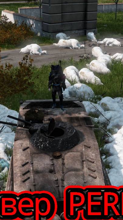DayZ PEREVOROT  боксы