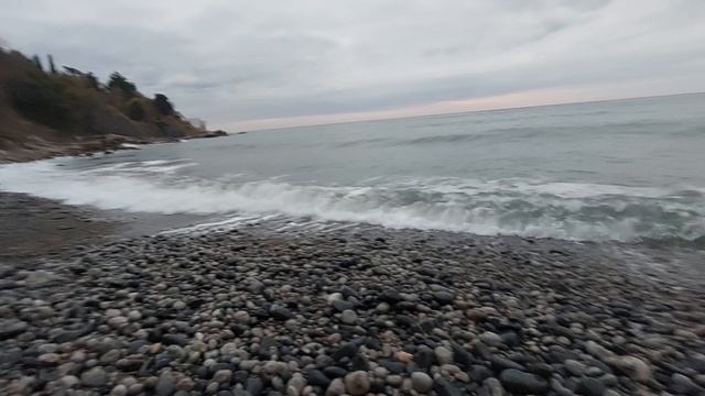 1000118494.mp4
