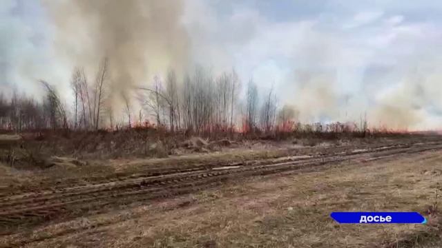 Нижегородская область вошла в топ-5 регионов страны по оперативности тушения лесных пожаров