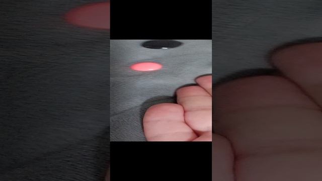 ЗАЯЦ  УЧИТ УРОКИ