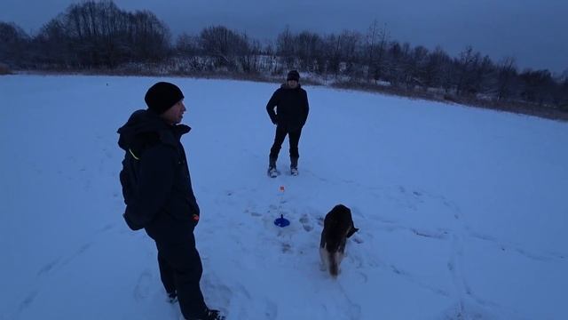 Жерлица на ЩУКУ. Первая зимняя рыбалка. Отличное открытие сезона.