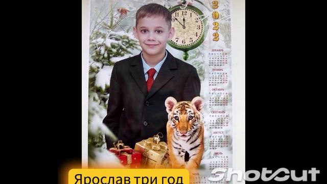 День Аиста
