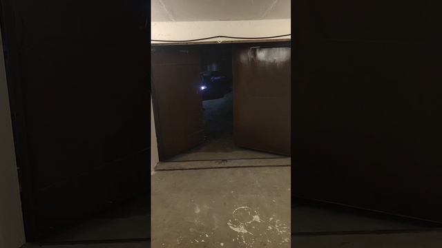VID_20241116_180628(0)