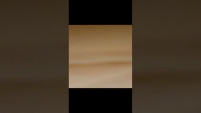 вааааасилиса идет в школу