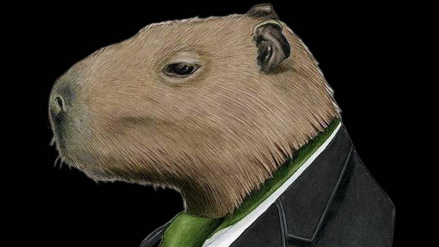 влад