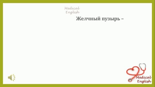 Изучаем Желчный Пузырь на Английском | Gallbladder #1. Медицинский Английский с Татьяной Глушковой