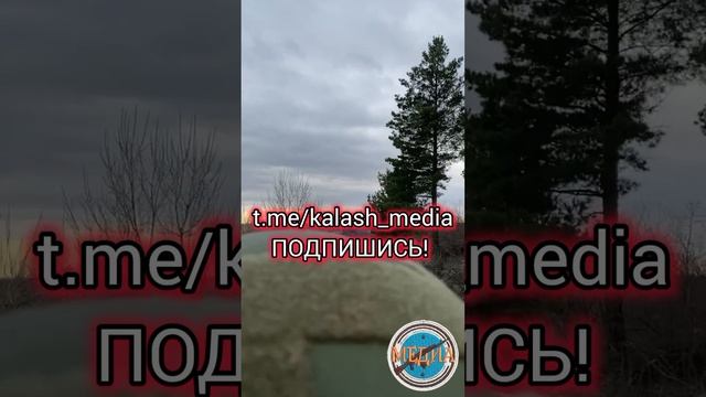 Российские бойцы