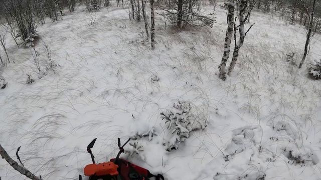 ПРОБИРАЕМСЯ К БОЛОТУ И СНИМАЕМ ПЕЙЗАЖ // ФОТОПОХОДНИКИ