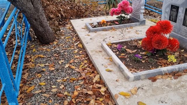 Съездили к могилам наших родных.Навели порядок.