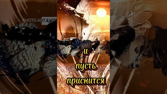 Доброй ночки, красивых снов 💋🌛❤