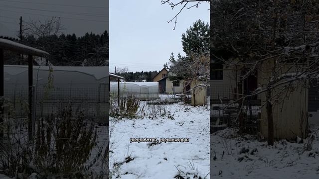 🏡 Уютный бревенчатый дом в СНТ «Лесная поляна»