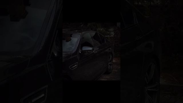 scene_output.mp4