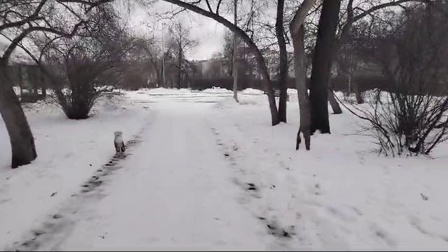Вот я снова на прогулке 2024 ноябрь