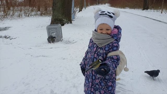 Покормите птиц зимой...