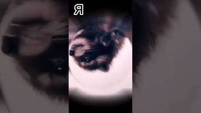 Делайте друзей счастливее