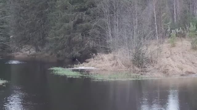 Стёжки - Дорожки.