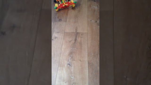 Конструктор механик Gadget fun
