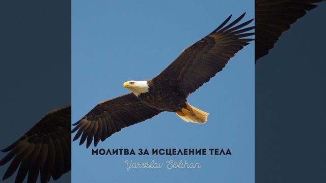 Пропитка | Полное исцеление и восстановление твоего тела | Yaroslav Solihan