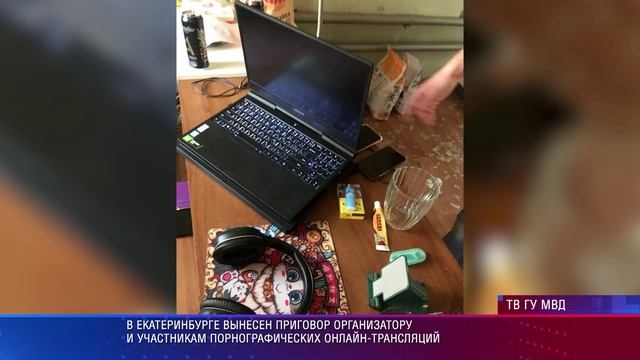 Порностудия приговор