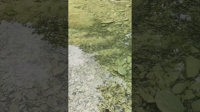 Папа потерялся в дебрях #горы #лес #природа #КраснодарскийКрай #куаго