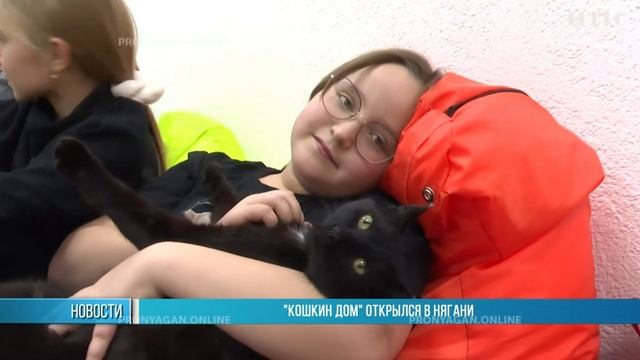«Кошкин дом» открылся в Нягани