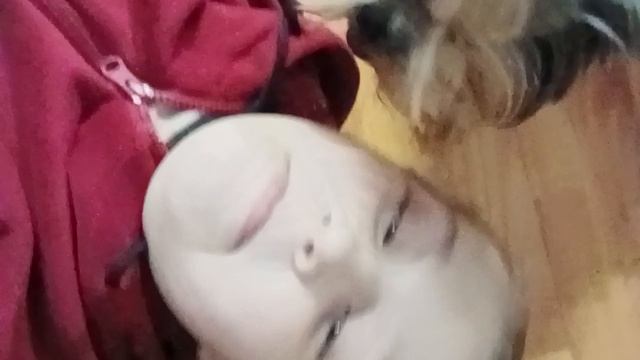 1007099488.mp4