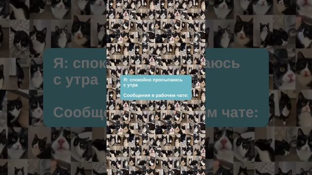 В чатах ОП много сообщений с утра может быть только с заявками от клиентов.