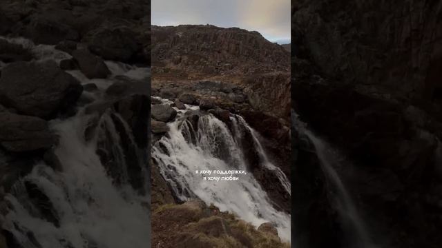 Всем нужна любовь и поддержка #мотивация #дисциплина #саморазвитие #психология